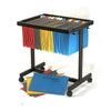 CF Trolly Suspension File