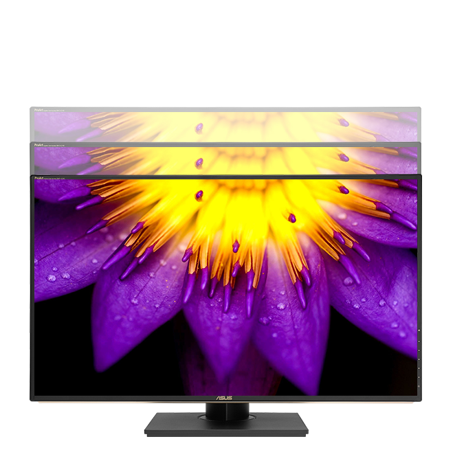 ProArt Display PA329C 4K HDR Professional Monitor - 32-inch