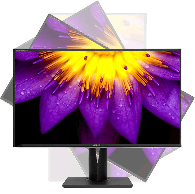 ProArt Display PA329C 4K HDR Professional Monitor - 32-inch